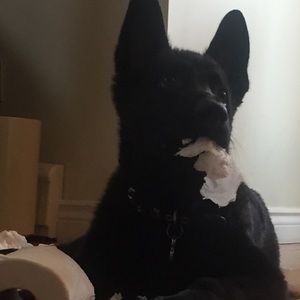 Meet your Posher, Lisa